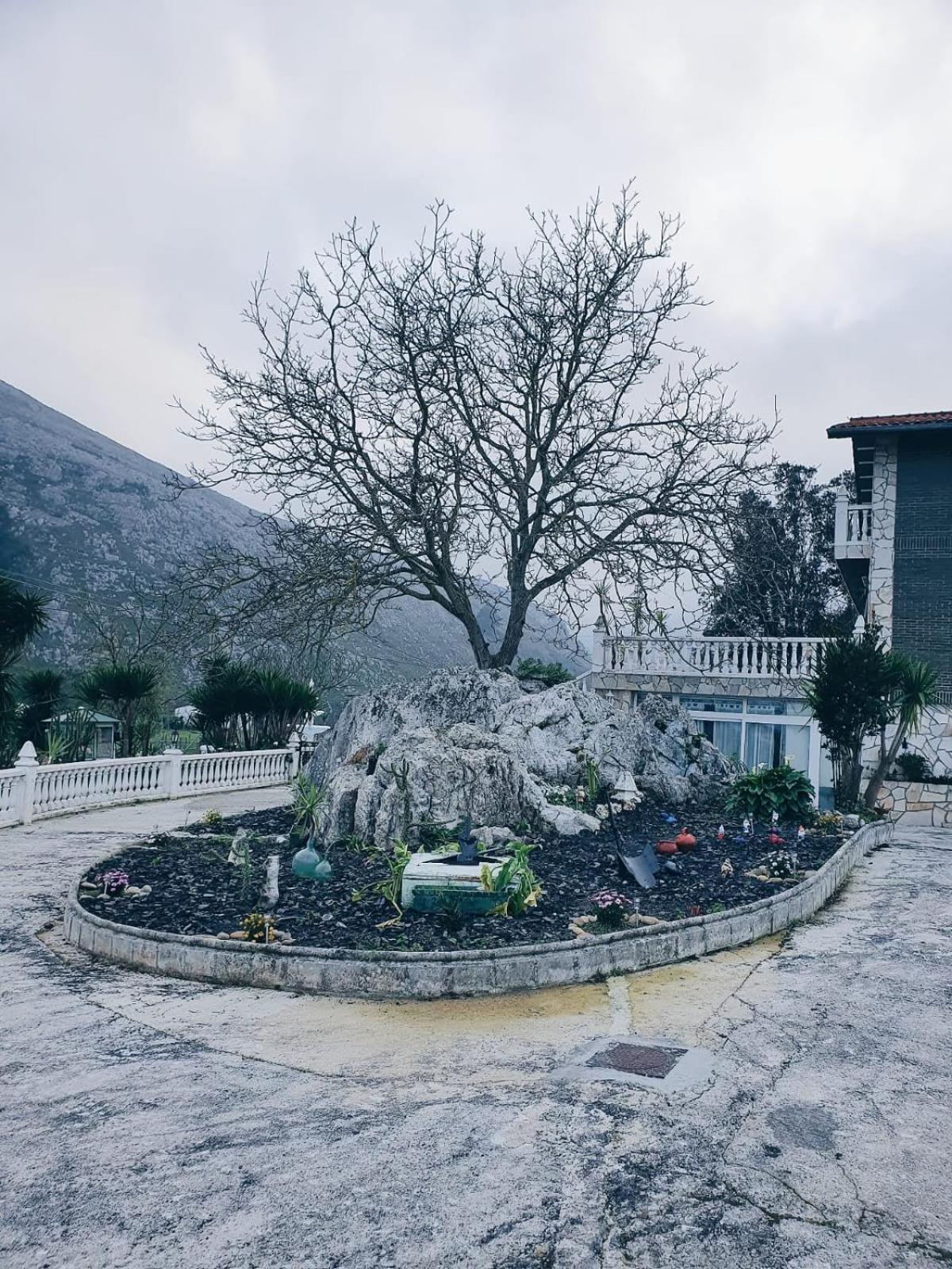 Jmca Otel Castro Urdiales Dış mekan fotoğraf